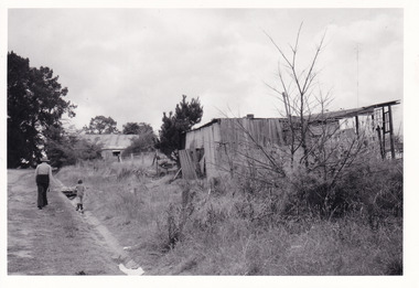 Card (Series) - Photographs, George Tibbits, Ford Street, Beechworth, 1976