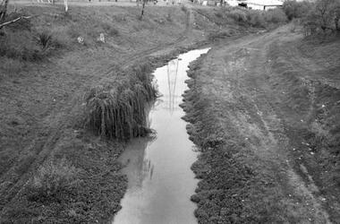 Photograph - David Wadelton, David Wadelton, Merri Creek, 1980