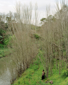 Photograph - Siri Hayes, Siri Hayes, Crossing the Merri, 2003
