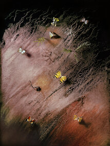 Photograph, Peta Clancy, 'Shadowy Land 8 & 9', 2014
