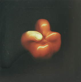Photograph - Gerhard Hillmann, Hand-Y-Cap (the Power of Fragility), 2002