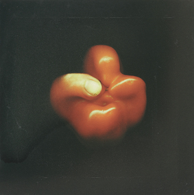 Photograph, Gerhard Hillmann, Hand-Y-Cap (the Power of Fragility), 2002