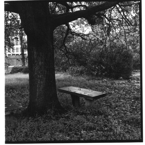 Photograph - George Mifsud, George Mifsud, Larundel No. 13 [Seat Under Trees], 2005