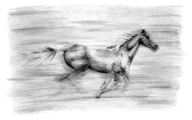 Drawing, Helen Semmler, Book Illustration for Ghost Ride by Rosemary Hayes; Page 21, 2010