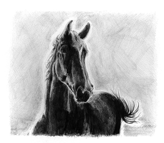 Drawing, Helen Semmler, Book Illustration for Ghost Ride by Rosemary Hayes; Page 50, 2010