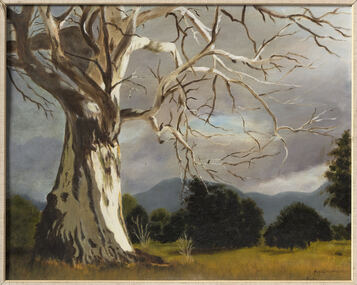 Painting, Ivy Woosman, 'Gumtree'