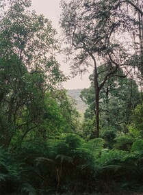 Photograph, Alan Stewart, 'Escape 2, Taungurung', 2021