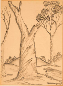 Work on paper - Untitled Study of Trees, Brely Bennell