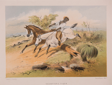 Artwork, other - Squatter's Tiger c. 1865, S. T. Gill