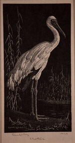 Artwork, other - White Stork 1925, Lionel Lindsay