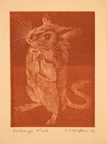 Artwork, other - Notomys Alexis 1972, Pamela Macfarlane