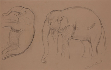 Artwork, other - [ Elephants: Double-sided ], Margaret NcNeil