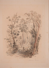Artwork, other - Bush Scene, Illawarra 1851, Conrad Martens