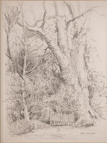 Artwork, other - Study, Botanical Gardens, Adelaide, Jack Messer