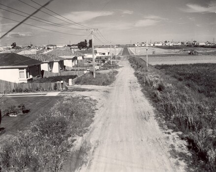 An unsealed suburban road with housing on one side and paddocks for market gardening on the other.