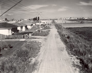 An unsealed suburban road with housing on one side and paddocks for market gardening on the other.
