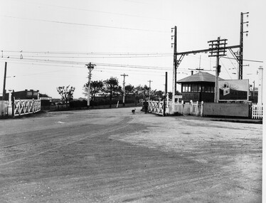 A man and a dog walking through the open gates at the Moorabbin level crossing