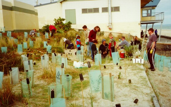 A group of adults and children planting trees on the foreshore