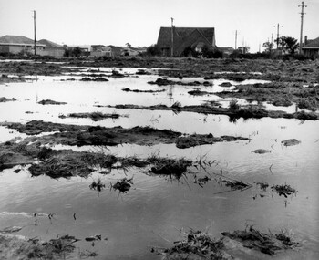 Flooding in suburban Beaumaris
