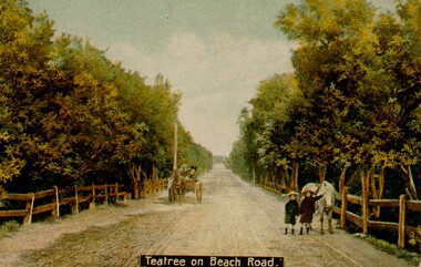 Handtinted image of teatree bushes running along both sides of Beach Road