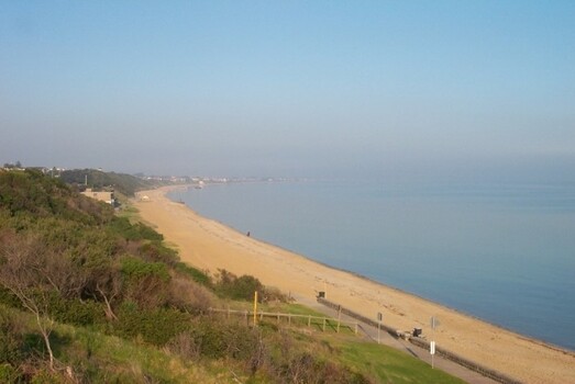 Image shows a beach with vegetation, a long strip of sand and blue water