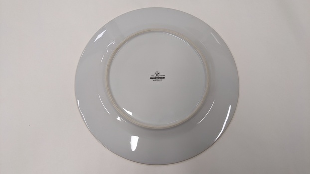 Base of white dinner plate 