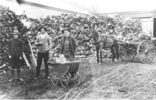 People standing inside a woodyard.