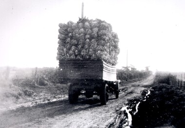 Truck loaded with cauliflower travelling along an unsealed, boggy road to market