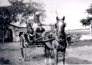 Man and woman sitting a cart behind a horse.