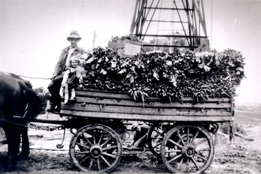 A horse drawn wagon, loaded with vegetables, on its way to market