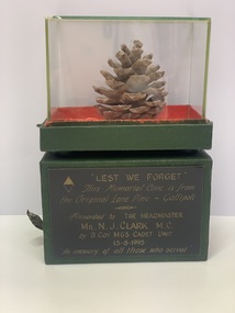 Archive, Memorial Cone from the original Lone Pine, Gallipoli, 1916