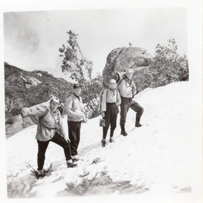 A group of 4 hikers in the snow carrying packs and a billy.