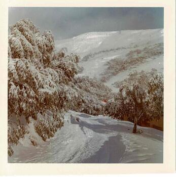 Snow covered peaks and road above Winterhaven lodge