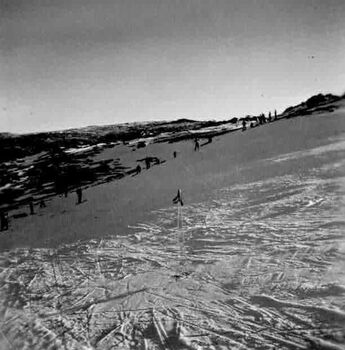 A pair of ski poles stuck into the snow. Skiers on the hill in the background