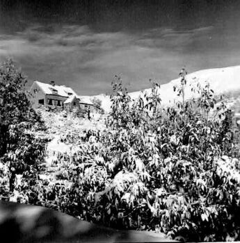 Albury Ski Club Lodge with snow on roof and trees in background.