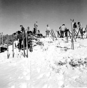 Group of skiers taking a break at the summit. 