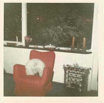 Relaxing in red armchair. Wine rack to the right of the image.