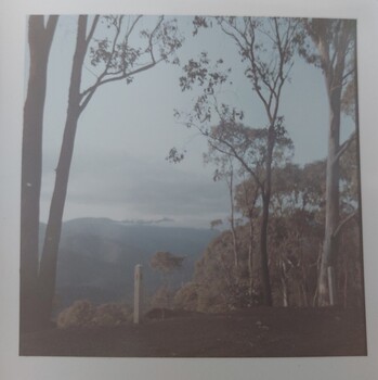 Mountain framed by trees and fence in the foreground. Location unknown