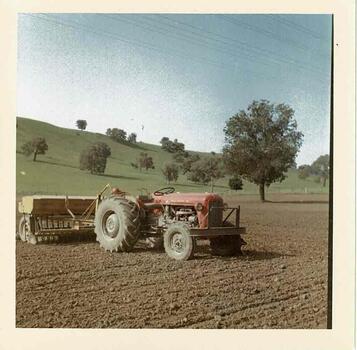 Tractor in paddock sowing  Phalaris