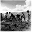 A group of men working on the timber foundations of the lodge.