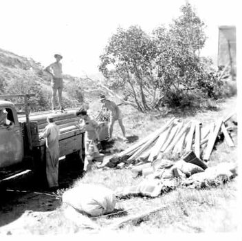 A group of people unloading timber from a truck
