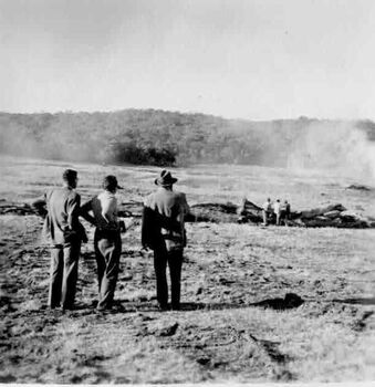 Three men with their backs to the camera looking towards smoke in the distance. Three other men are near a line of fallen timber 