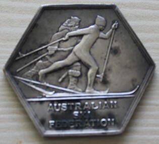 A hexagonal shaped medal with skier