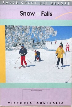 A group of skiers including a small child with trees and snow covered slopes in the background.