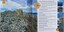 Image of a mountain top view superimposed with available activities.