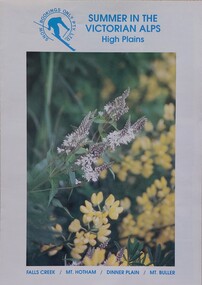 A picture of yellow and white wild flowers.