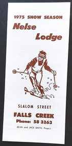 Flyer featuring a skier and text