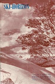 Scene with tree in the foreground and snow covered mountain.