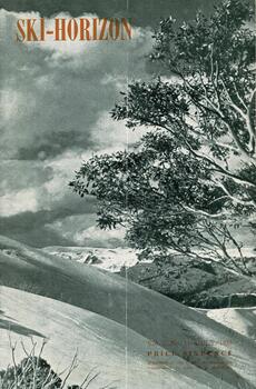 Scene with tree in the foreground and snow covered mountain.