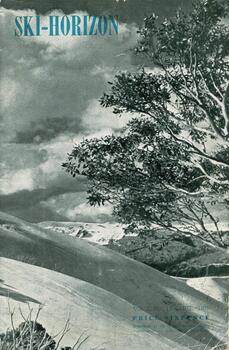 Scene with tree in the foreground and snow covered mountain